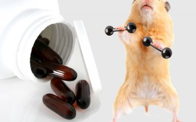 Todo lo que necesitas saber sobre CLA para perder grasa