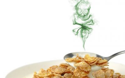 No a los cereales de desayuno