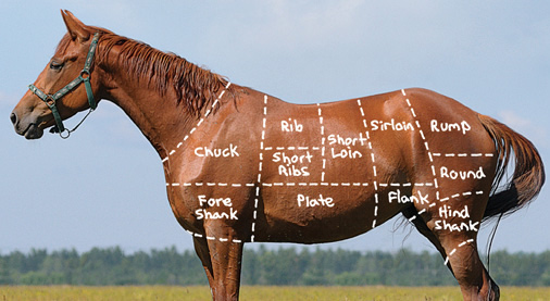 Come carne de caballo