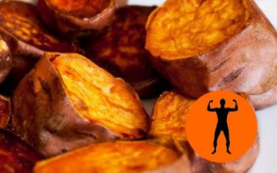 Operación Transformer: mes dos, a comer