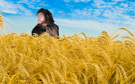 El neanderthal que desayunaba cereales