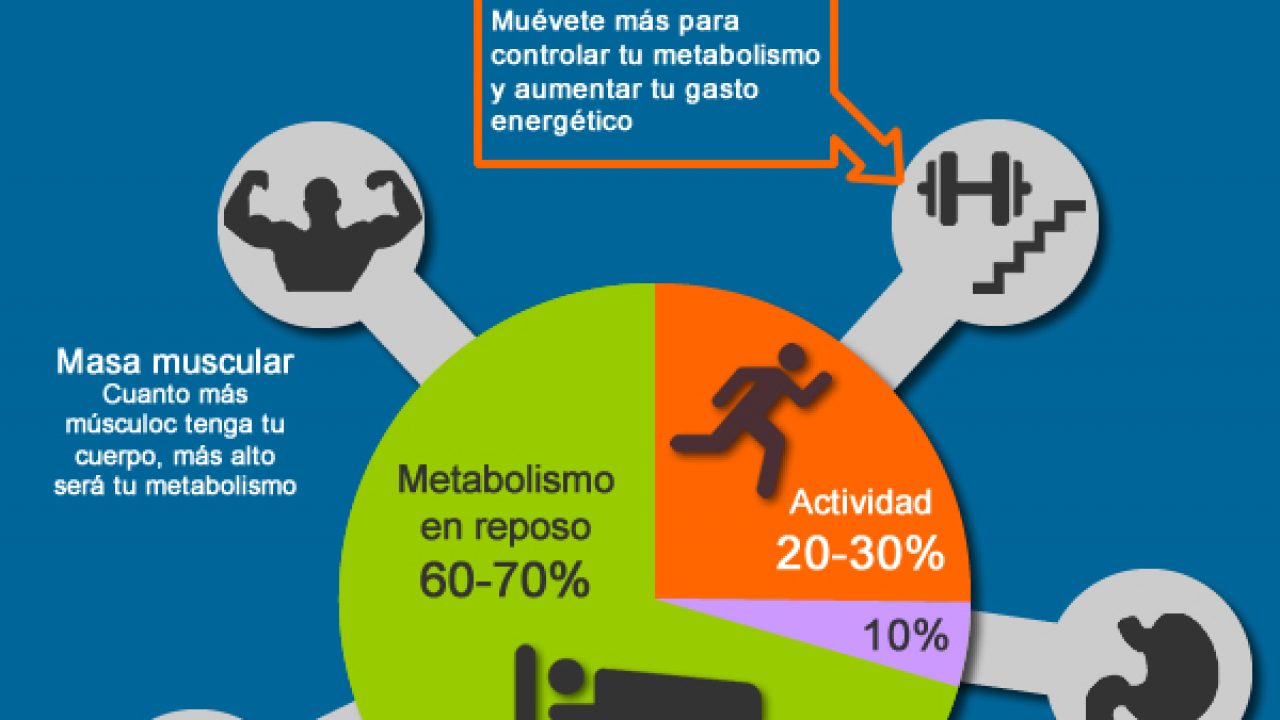 complemento entusiasmo Sospechar Metabolismo rápido, metabolismo lento, verdades y mentiras | Operación Transformer complemento entusiasmo Sospechar Metabolismo rápido, metabolismo lento, verdades y mentiras | Operación Transformer