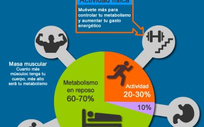 Metabolismo rápido, metabolismo lento, verdades y mentiras