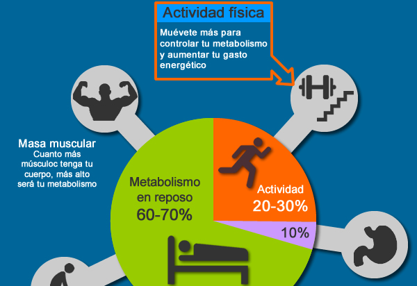 Metabolismo rápido, metabolismo lento, verdades y mentiras