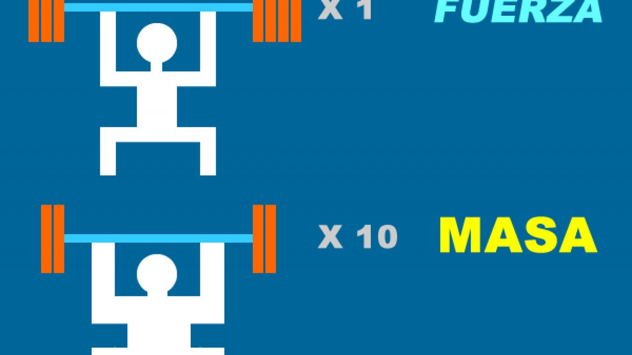 Si Peso 70 Kilos Cuánto Peso Debo Levantar Así haces repeticiones, así serán tus músculos | Operación Transformer