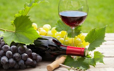 La verdad sobre el vino tinto y el resveratrol