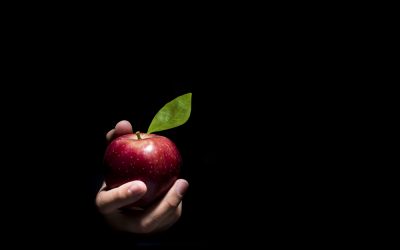 Diez verdades sobre la fruta