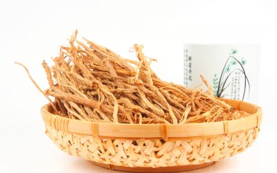El ginseng ¿efectivo para la memoria y las erecciones?