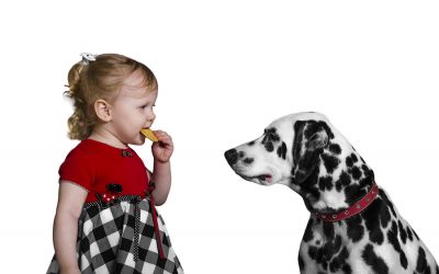 Procrastinación: trata a tu cerebro como a un perro