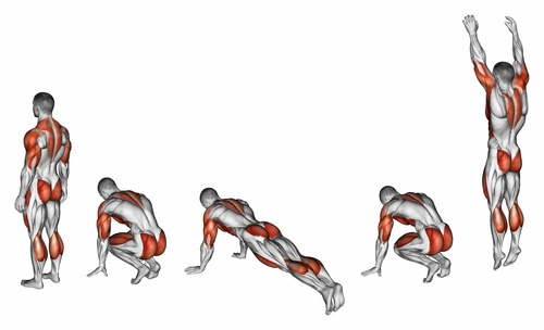 anatomía burpees