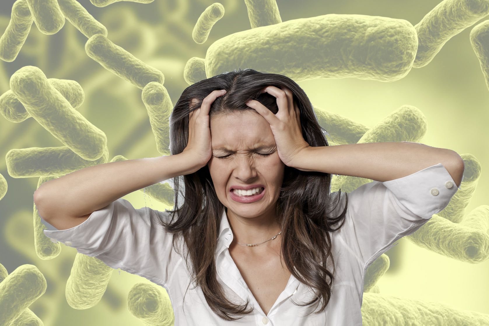 emociones bacterias