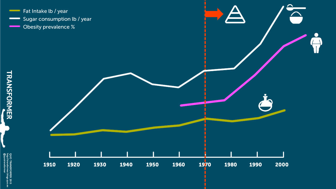 consumo de grasa, azúcar y obesidad