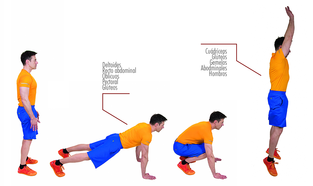 anatomía burpees