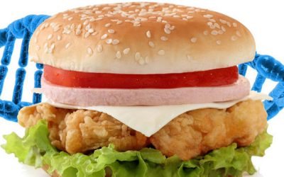 Que no te engañen: La dieta del ADN no funciona, y estas otras tampoco…
