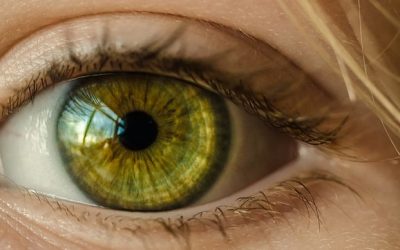 Más inteligentes con 10 minutos de ejercicio