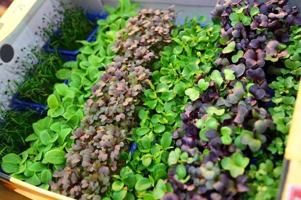 microgreens