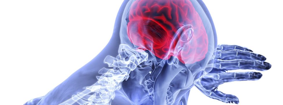 Correr, sexo y ayuno: así haces que crezcan tus neuronas