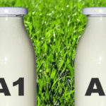 La verdad sobre la leche A1 y A2