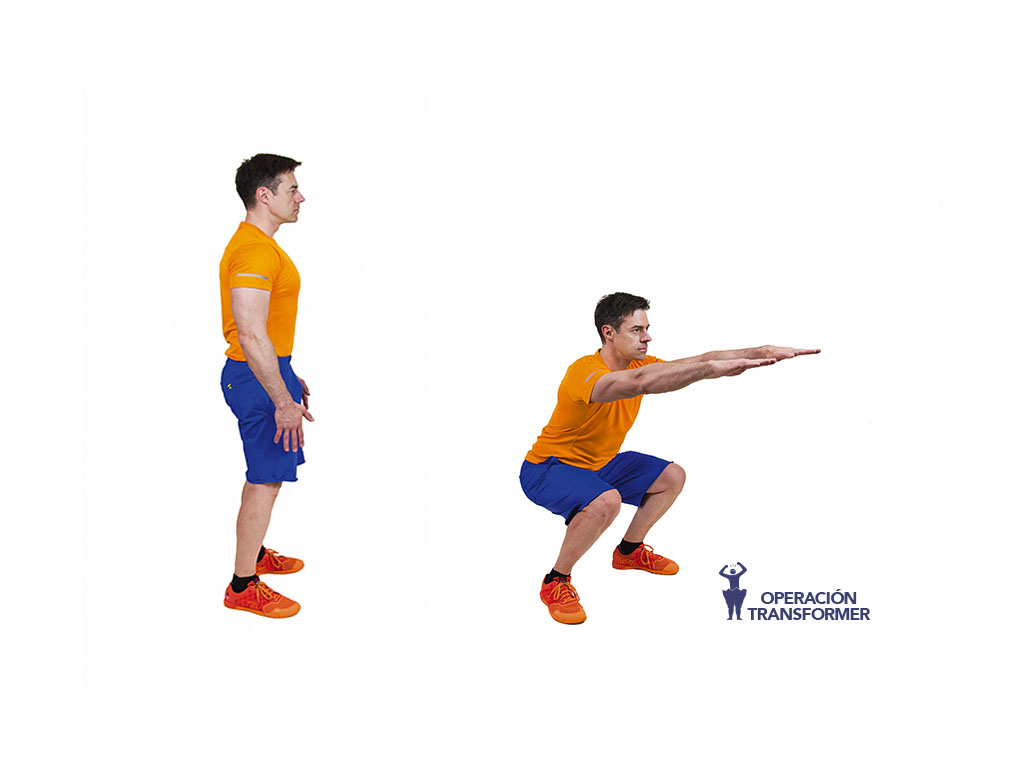 sentadillas