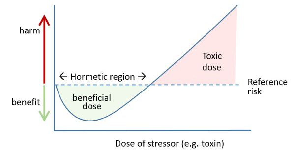hormésis